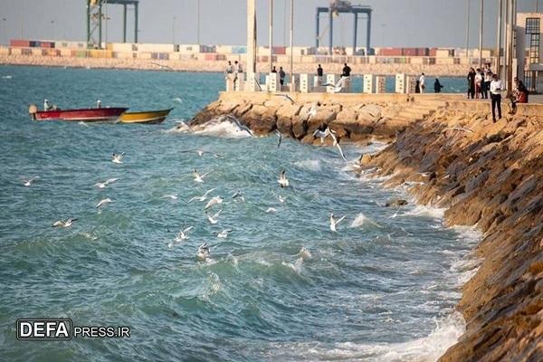 سرعت وزش باد در سواحل شمالی و مرکزی استان بوشهر افزایش می‌یابد