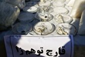 فروش روانگردان «مجیک ماشروم» در اینستاگرام