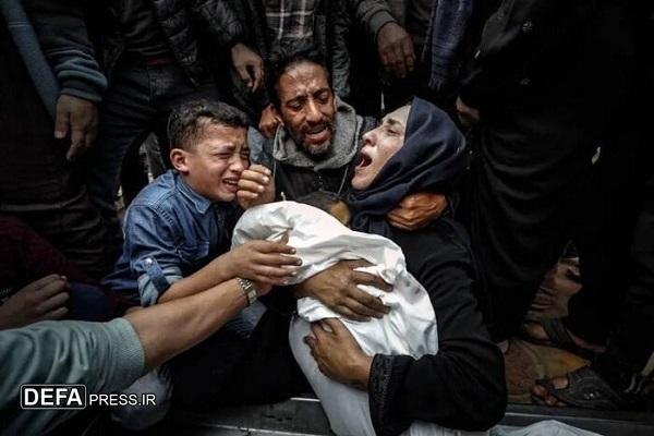 غزه را دریبابیم
