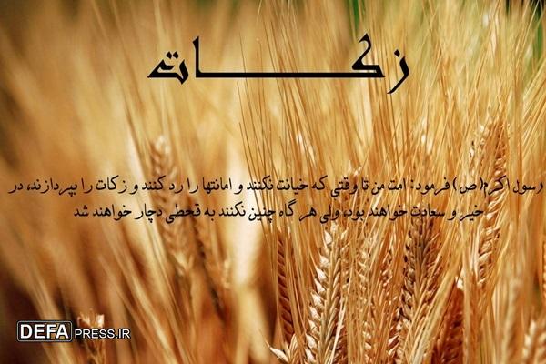 افزایش پرداخت زکات در استان بوشهر