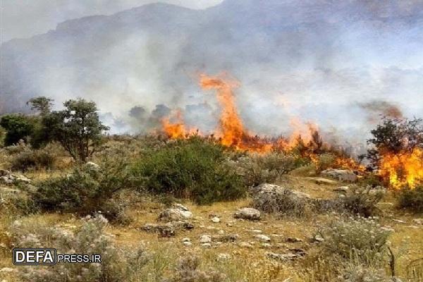 در آتش سوزی روز جمعه سی هکتار از اراضی شاهو کردستان سوخت