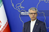 بقایی: مجلس خروج از NPT را تصویب کند نمی‌توانیم مانع شویم