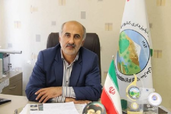 حدود ۹۴ درصد از مطالبات گندم‌کاران کردستانی پرداخت شده است
