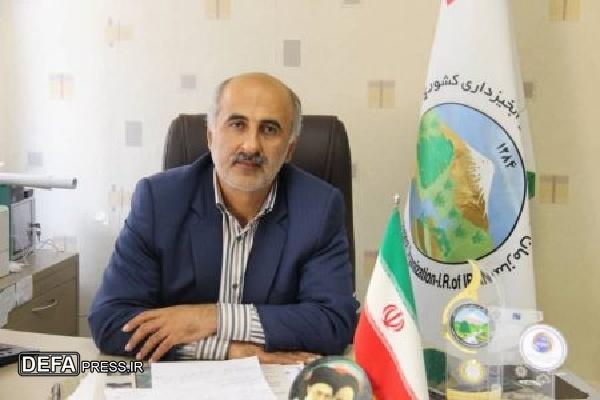حدود ۹۴ درصد از مطالبات گندم‌کاران کردستانی پرداخت شده است