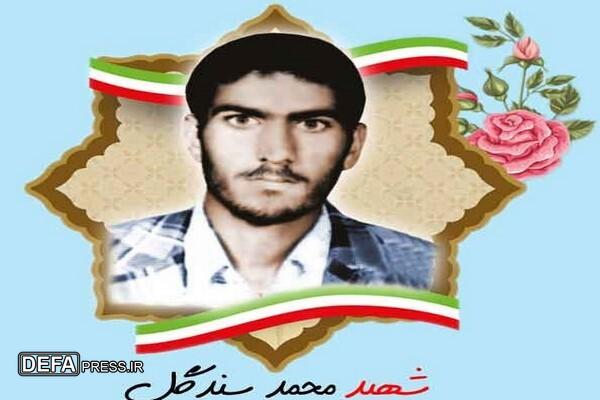 مروری بر زندگینامه شهید «محمد سندگل»