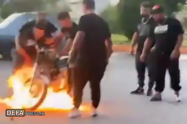 دستگیری اخلالگر نظم عمومی در اردبیل