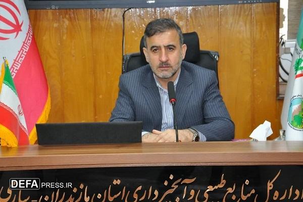 خود زنی قاچاقچی چوب آمل برای فرار از قانون