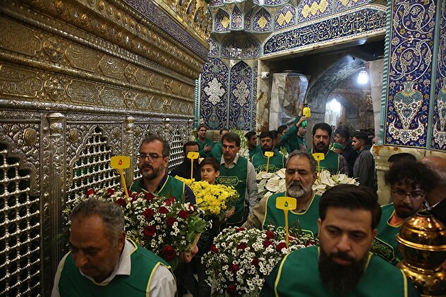 تصاویر/ گل‌آرایی حرم حضرت معصومه (س) در سالروز ورود ایشان به قم