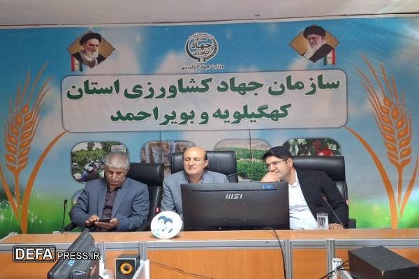 برگزاری کارگاه رشد و تواتمند سازی پیشکسوتان دفاع مقدس جهاد کشاورزی کهگیلویه و بویراحمد+ تصاویر
