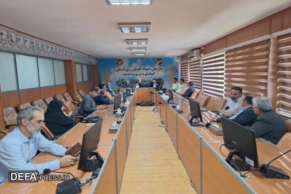 برگزاری کارگاه رشد و تواتمند سازی پیشکسوتان دفاع مقدس جهاد کشاورزی کهگیلویه و بویراحمد+ تصاویر