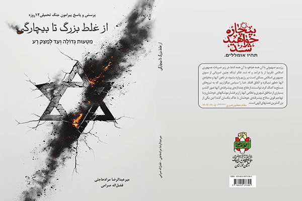 «از غلط بزرگ تا بیچارگی»