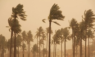 وزش باد و گرد و خاک در استان بوشهر مورد انتظار است