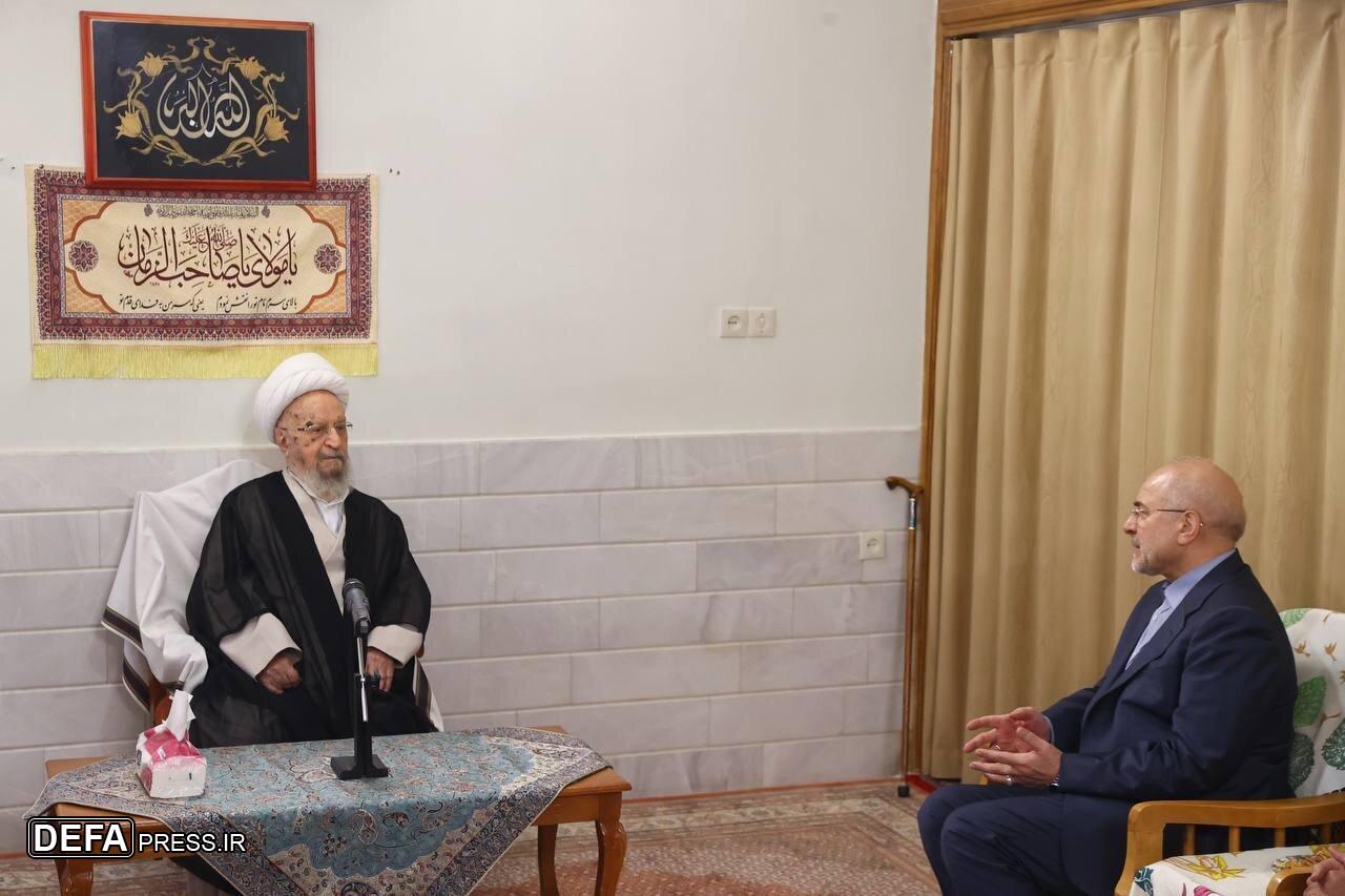 دیدار رئیس مجلس با مراجع تقلید