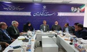شاهرخی: کمیته‌های مشورتی در شهرستان‌های استان تشکیل شود