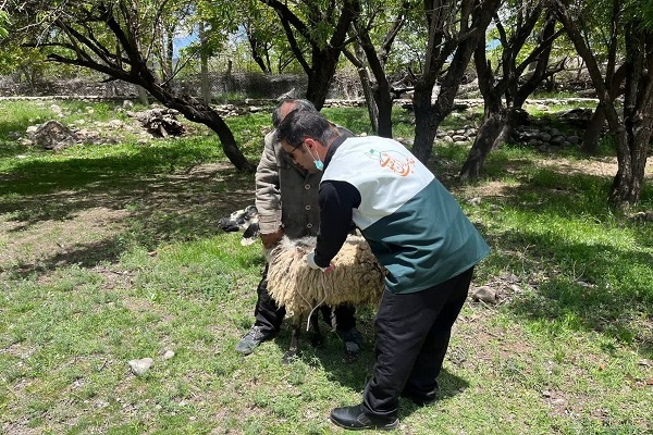 اردوی جهادی دامپزشکی کانون‌های خدمت رضوی رفسنجان/ دیدار با جانبازان و غبارروبی مزار شهدا در حاشیه اردو