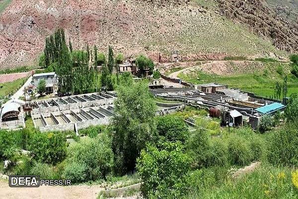 تولید ۹۰۰ تن، ماهی سردآبی در شهرستان کلات