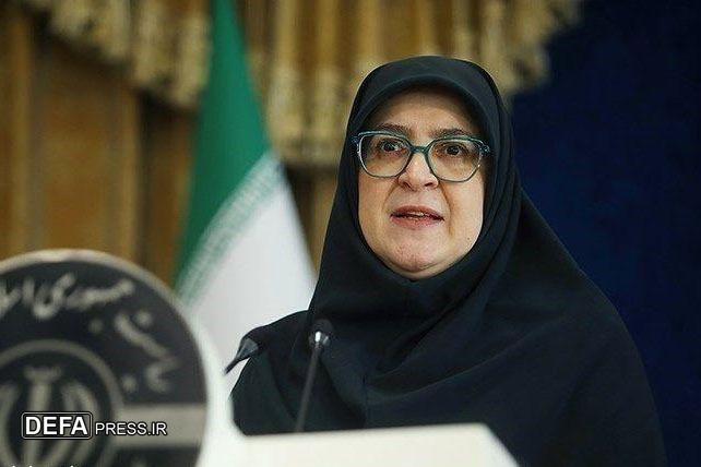 مهاجرانی: دولت به دنبال توسعه انرژی‌های پاک در کشور است