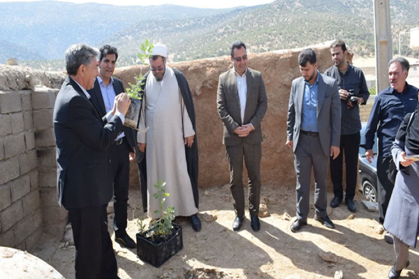 بلوط‌هایی که در کرمانشاه به‌نام شهدا کاشته می‌شوند