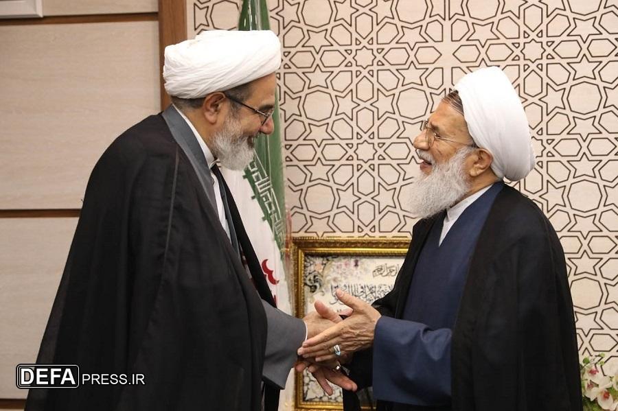 حجت الاسلام محمدحسنی: وحدت ارتش و سپاه خار چشم دشمنان و رکن اقتدار دفاعی کشور است