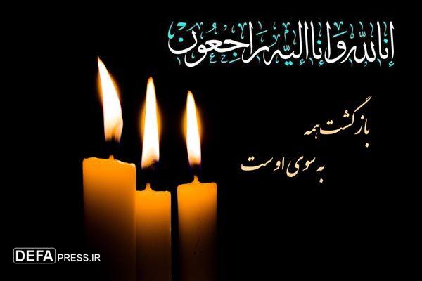 مادر شهید «عباس ندرخانلو» به فرزند شهیدش پیوست