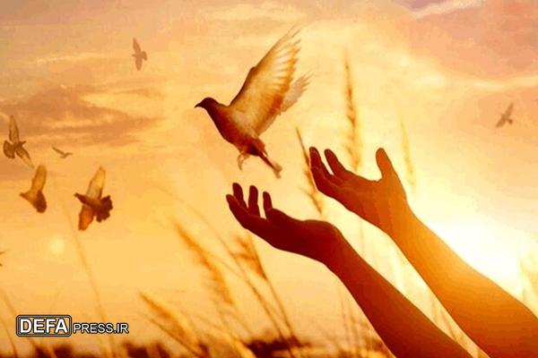 آزادی سومین محکوم به قصاص با عنایت امام رضا (ع) در البرز