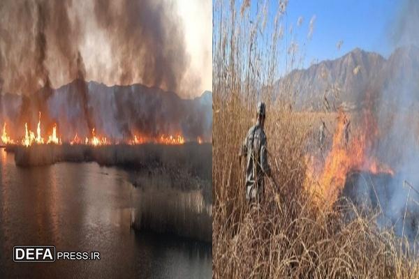 آتش‌سوزی در تالاب بین‌المللی زریبار ۱۰ هکتار از نیزار‌های این تالاب زیبا را طعمه حریق کرد