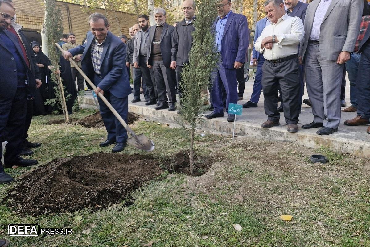 دو اصله نهال به یاد دو شهید شاخص اقتدار غرس شد 