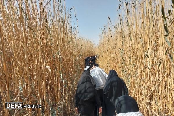 دانشآموزان کهگیلویه و بویراحمدی در مناطق عملیاتی جنوب کشور+ تصاویر دانشآموزان کهگیلویه و بویراحمدی در مناطق عملیاتی جنوب کشور+ تصاویر