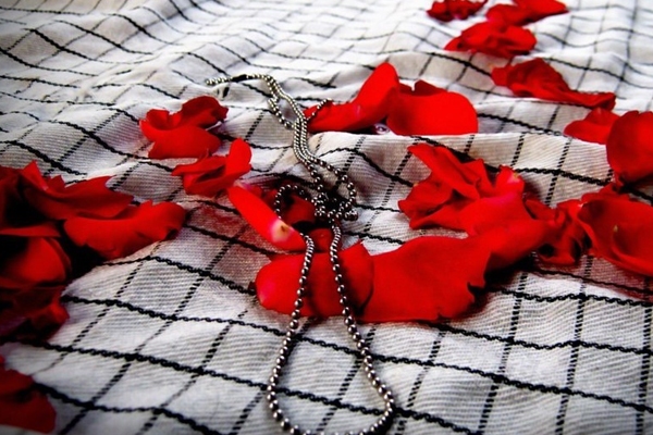 ایثار و شهادت؛ حلقه اتصال اسلام و میهن