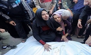 ققنوس‌ها نمی‌میرند