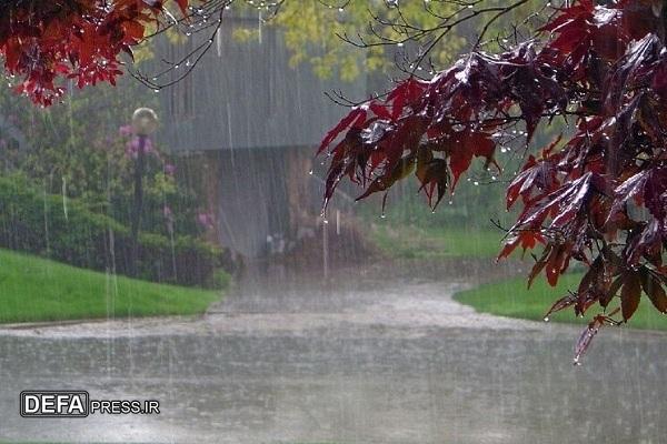 بارش امید در اوج ناامیدی بارش امید در اوج ناامیدی