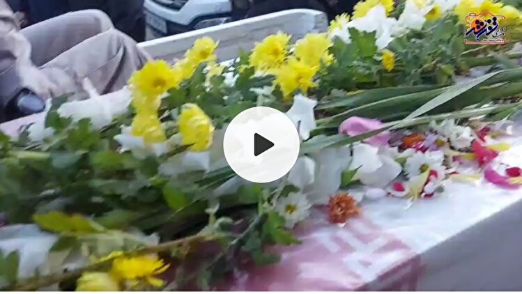 لاله‌های زهرایی در تفرش