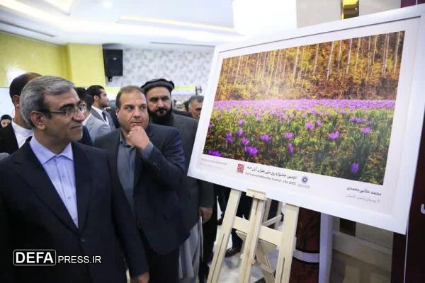آغاز به کار جشنواره ملی زعفران+ تصاویر  آغاز به کار جشنواره ملی زعفران+ تصاویر