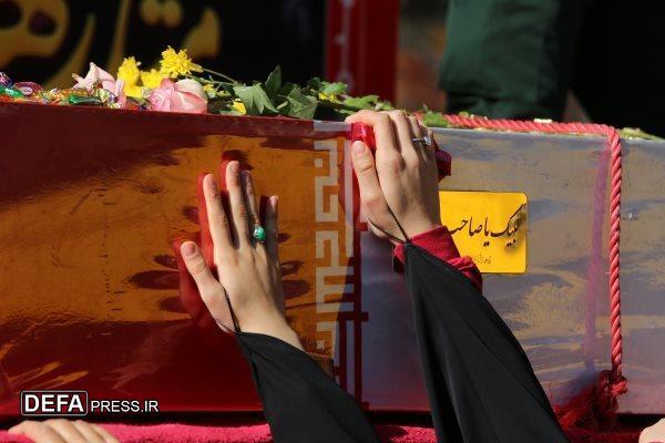 عطر لاله‌های فاطمی در سراسر کشور پیچید+ فیلم