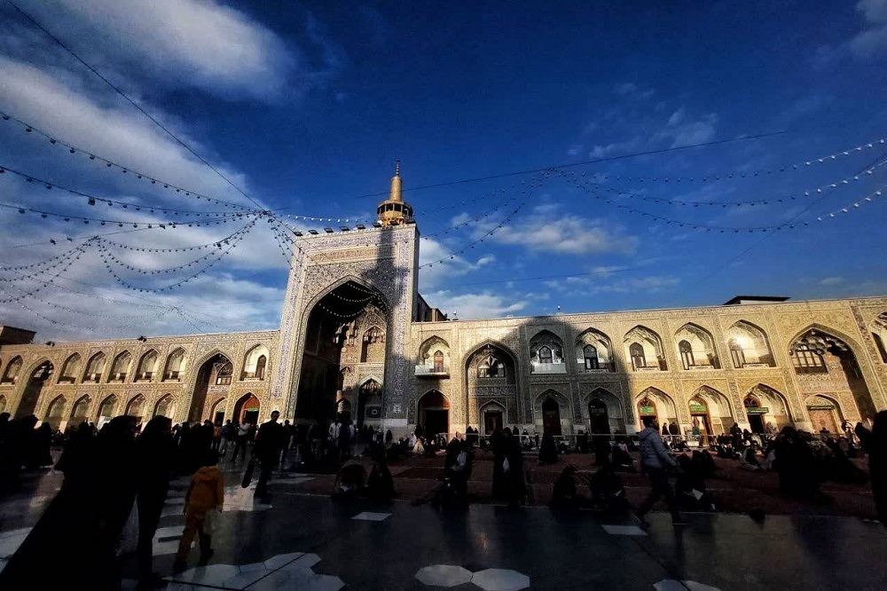 تصاویر/ در سایه نور