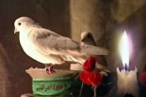 فیلم/ مراسم اربعین شهدای زنجانی عملیات «والفجر چهار»