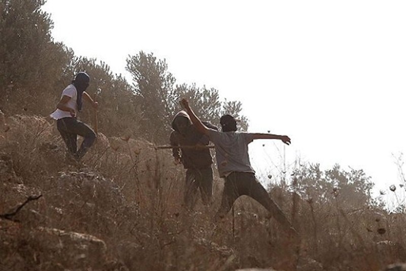 سازمان ملل: شهرک‌نشینان روزانه پنج بار به کرانه باختری یورش می‌برند