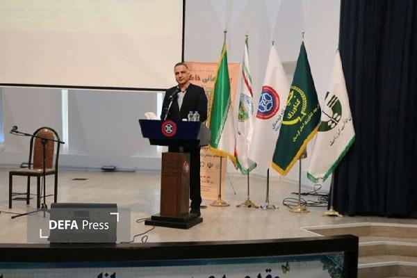 طرح پایداری تولید در دیم‌زار‌های کشور طی برنامه ۵ ساله اجرا می‌شود