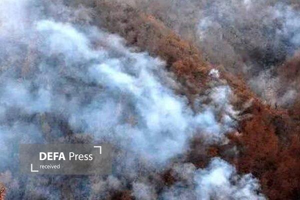 کولیوند: هلال احمر تا پایان اطفای حریق جنگل‌های چالوس در میدان حضور دارد