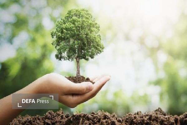 پویش «نهضت درختکاری در سایه مادر» در استان کردستان برگزار شد