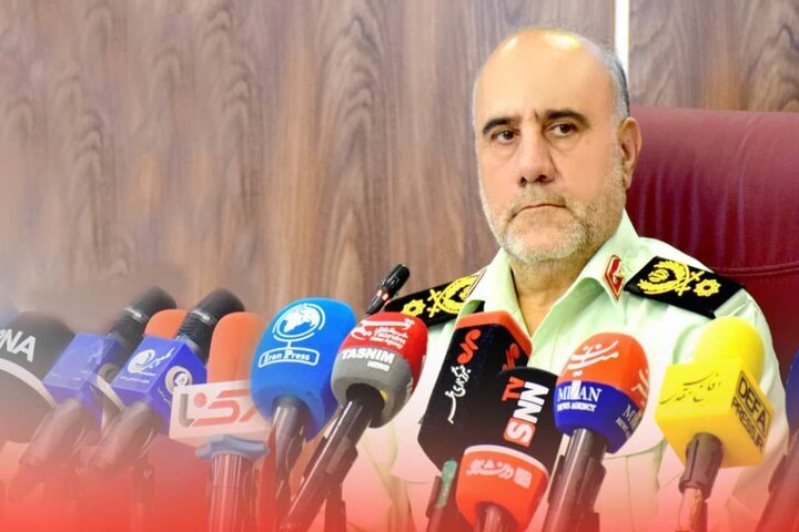 کشف ۴۱ هزار تن برنج و نهاده دامی قاچاق و احتکاری