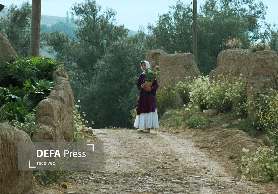 جشنواره جهانی فیلم فجر با نمایش فیلمی از عباس کیارستمی افتتاح میشود جشنواره جهانی فیلم فجر با نمایش فیلمی از عباس کیارستمی افتتاح میشود