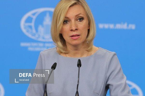 روسیه برای کمک به مقابله با تروریسم در نیجریه اعلام آمادگی کرد