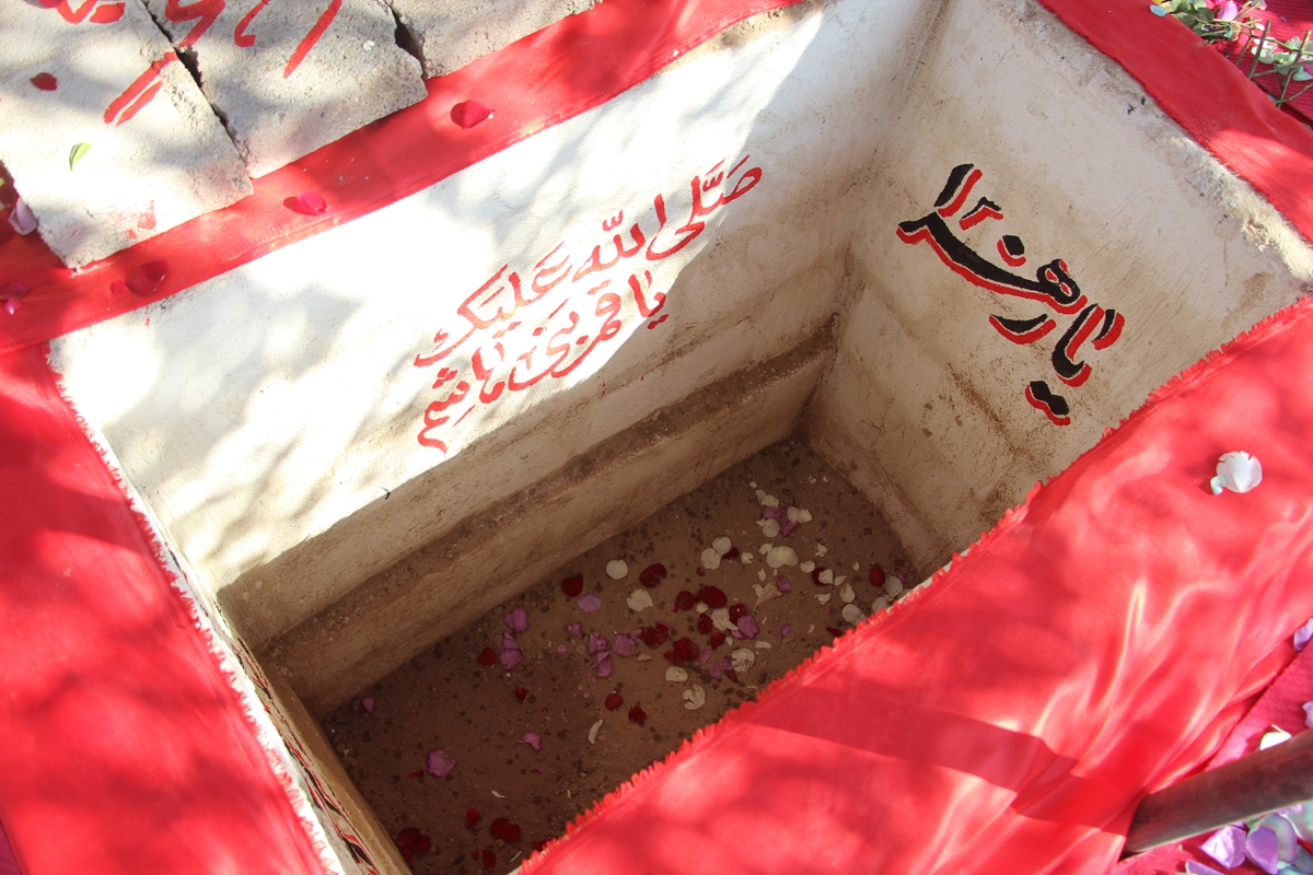 تصاویر/ شمیم حضور لاله فاطمی در بوستان شهید زین الدین قم