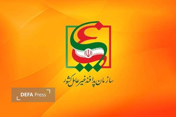 برگزاری دورههای آموزشی تخصصی پدافند غیرعامل در استان بوشهر برگزاری دورههای آموزشی تخصصی پدافند غیرعامل در استان بوشهر