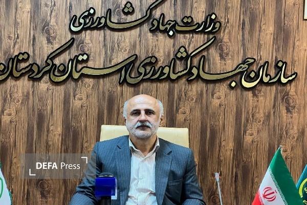 علاوه بر رشد جوجه‌ریزی در کردستان تولید بدون وقفه در این زمینه تداوم دارد