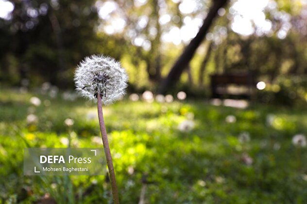 حال وهوای بهاری بوستانهای تهران