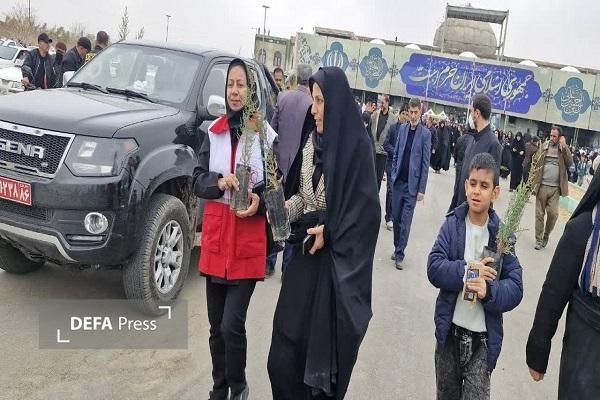 ۱۲ هزار اصله نهالدر پویش «سرو ایران» در استان سمنان توزیع و کاشته شد