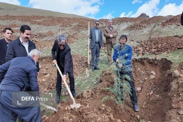 پویش ملی درختکاری «سرو ایران» در شهرستان سنندج برگزار شد