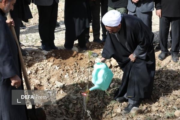 حجت الاسلام کریمی تبار: کاشت نهال نمادی از تعهد اجتماعی و اقدامی مؤثر برای نسل‌های آینده است